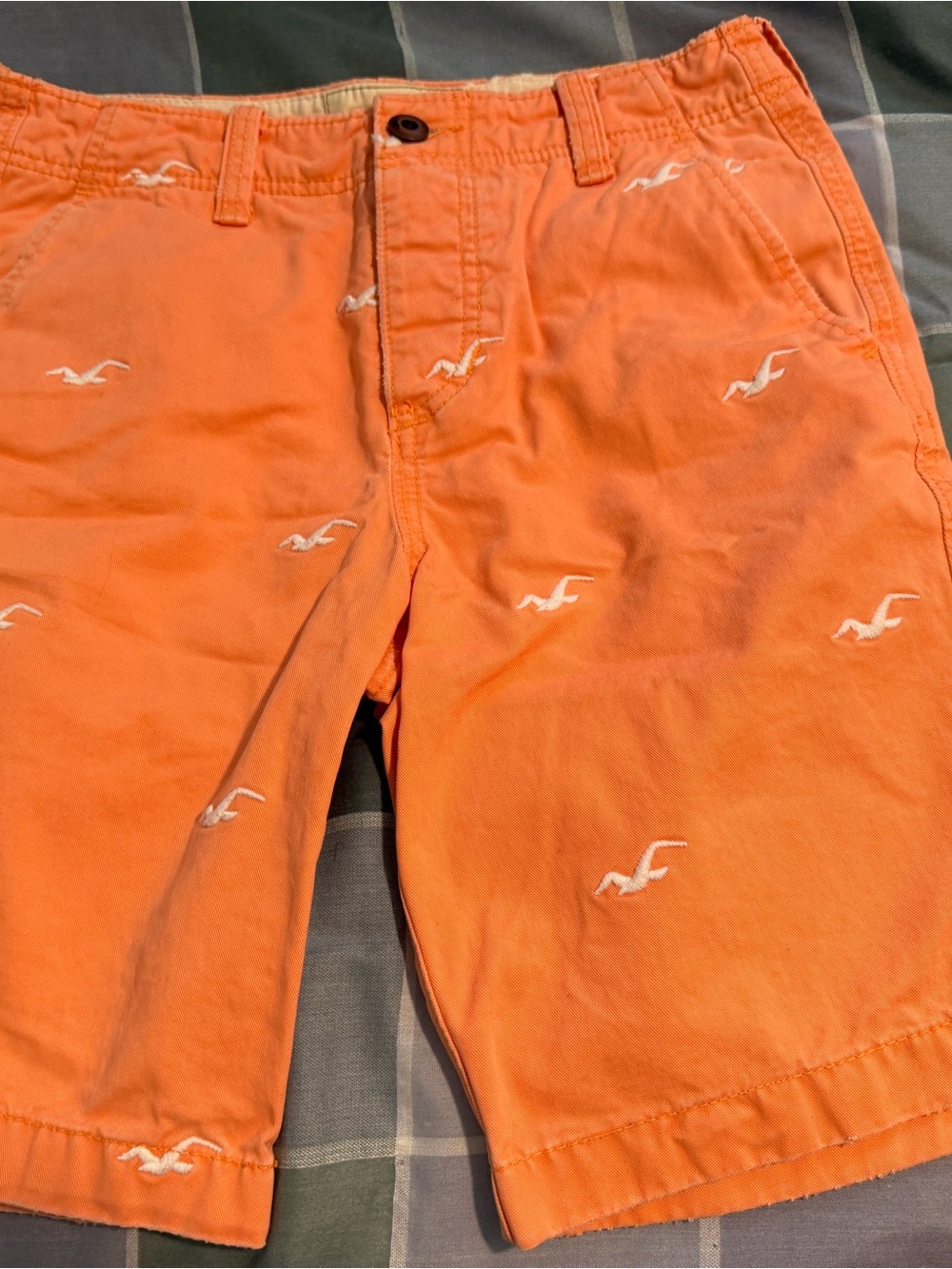 Hollister Coral Orange Casual Cotton Shorts